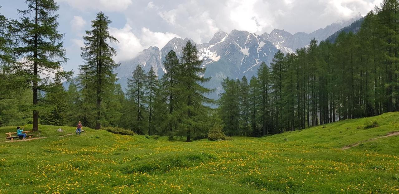 The Oldmillhouse Villa Mojstrana Exterior photo