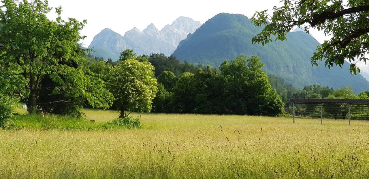 The Oldmillhouse Villa Mojstrana Exterior photo