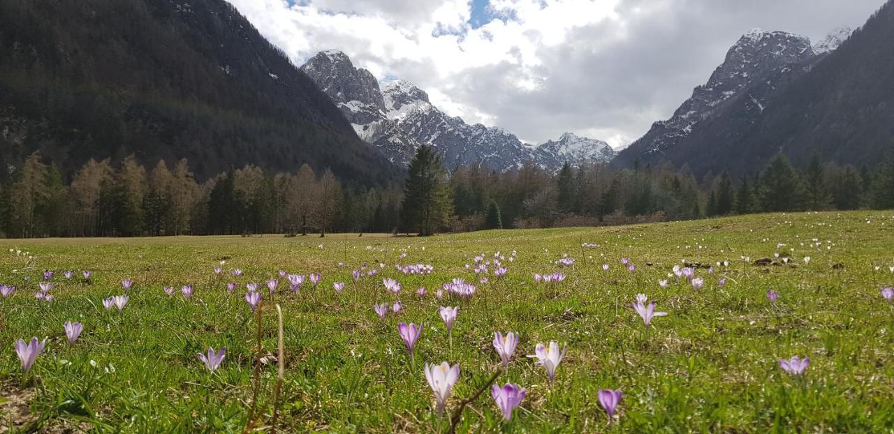 The Oldmillhouse Villa Mojstrana Exterior photo