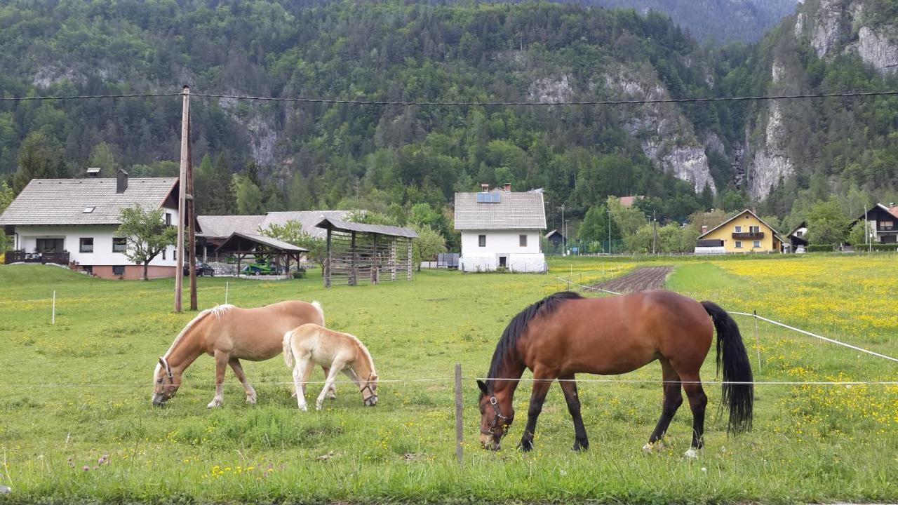 The Oldmillhouse Villa Mojstrana Exterior photo